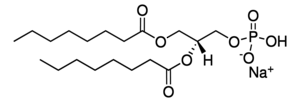 Merck 08:0 PA