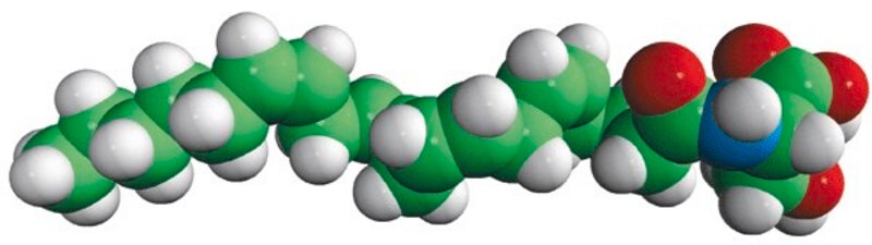 Merck N-20:4 L-Serine (ARA-S)