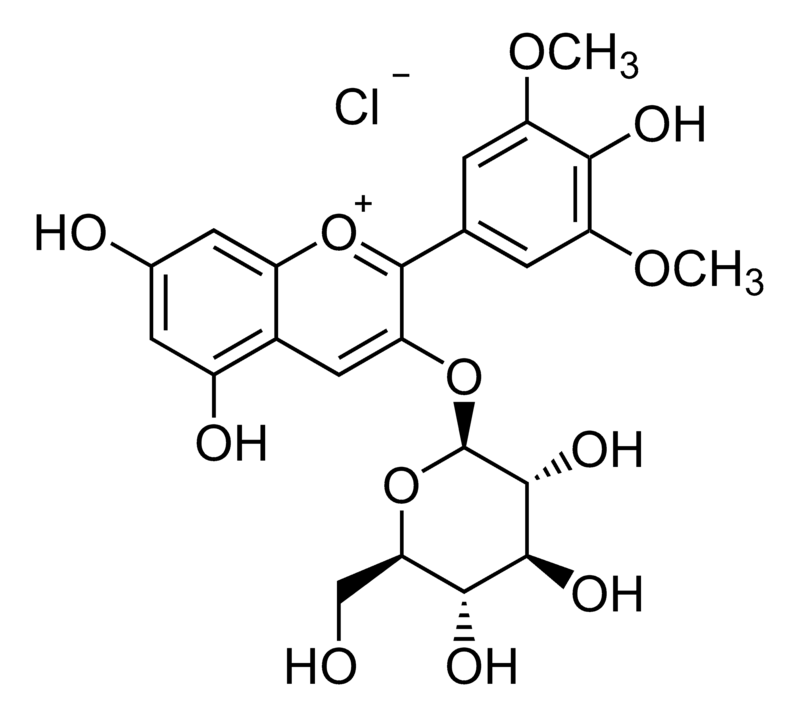 Merck Oenin chloride