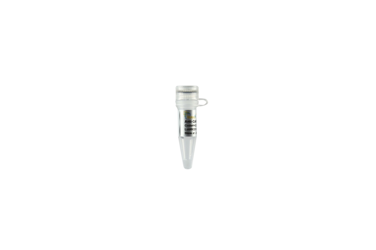 ProteinFind® Anti-GAPDH Mouse Monoclonal Antibody