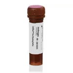 Thermo Fisher Scientific CellBlox Plus Blocking Buffer, 25 Tests