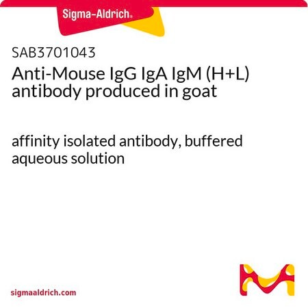 Merck Anti-Mouse IgG IgA IgM (H+L) antibody produced in goat