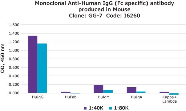 Merck MOUSE MONOCLONAL ANTI-HUMAN IGG (FC
