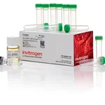 Thermo Fisher Scientific One Shot ccdB Survival 2 T1<sup>R</sup> Competent Cells