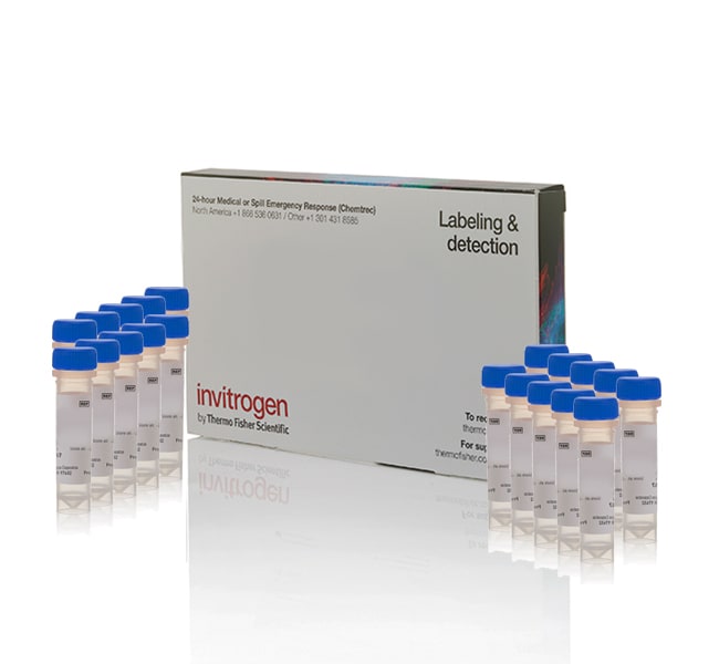 Thermo Fisher Scientific LysoSensor Yellow/Blue DND-160 - Special Packaging