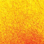 Himedia HiPer® Osteogenesis AssayTeaching Kit