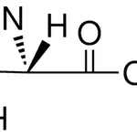 Merck 3-(2-THIENYL)-L-SERINE MONOHYDR-