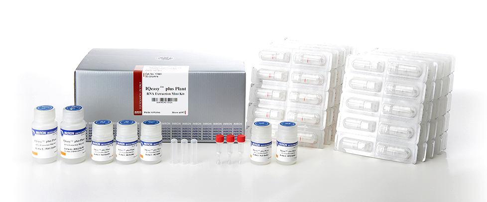 Intron IQeasy™ plus Plant RNA Extraction Kit