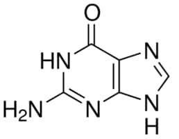 Merck GUANINE, 98%