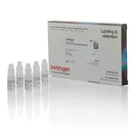 Thermo Fisher Scientific ProLong Glass Antifade Mountant, 5 x 2 mL