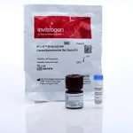 Thermo Fisher Scientific Pro-Q Emerald 300 Lipopolysaccharide Gel Stain Kit