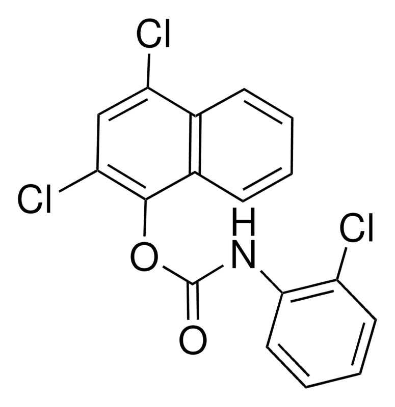 Merck 2,4-DICHLORO-1-NAPHTHYL N-(2-C - 50 MG&