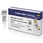 Thermo Fisher Scientific T4 RNA Ligase Reaction Buffer (10X), 200 μL