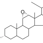 Merck 3-ALPHA-ACETOXY-11-ALPHA,12-AL - 1 MG&
