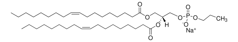 Merck 18:1 Phosphatidylpropanol