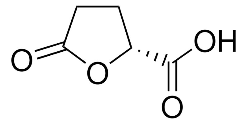 Merck (R)-(-)-5-Oxo-2-tetrahydrofurancarboxylic acid