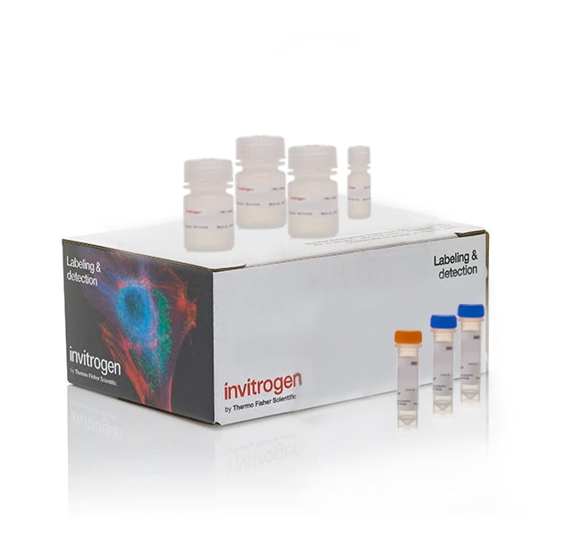 Thermo Fisher Scientific Click-iT Plus EdU Cell Proliferation Kit for Imaging, Alexa Fluor 488 dye