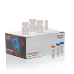 Thermo Fisher Scientific Click-iT Plus EdU Cell Proliferation Kit for Imaging, Alexa Fluor 488 dye