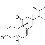 Merck (22E)-9-ALPHA-METHYL-11-OXO-5- - 1 MG&