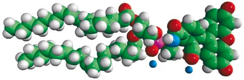Merck 18:1 PE CF