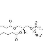Merck 18:0-20:4 PI(3,4,5)P3
