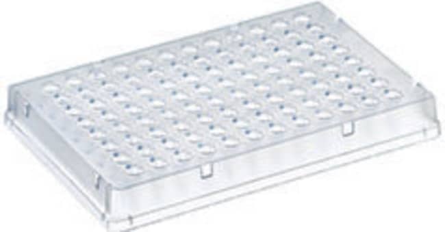 Thermo Fisher Scientific PCR Plate, 96-well, low profile, skirted, white