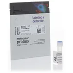 Thermo Fisher Scientific Alexa Fluor 488 5-SDP Ester (Alexa Fluor 488 Sulfodichlorophenol Ester)