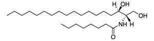 Merck C8 DIHYDROCERAMIDE (D18:0/8:0)