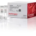 Thermo Fisher Scientific SuperScript III One-Step RT-PCR System with Platinum Taq DNA Polymerase, 25 rxns