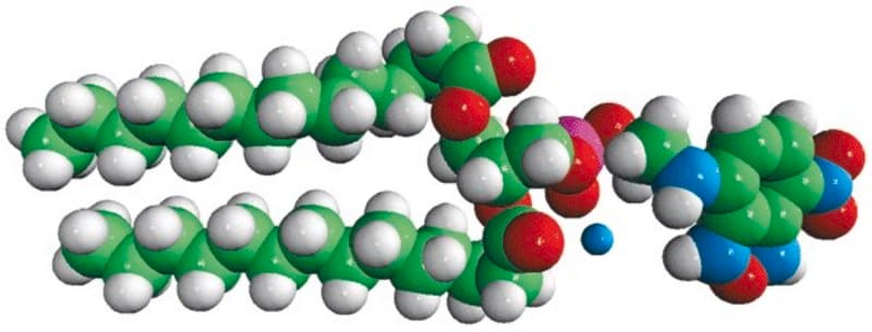 Merck 14:0 NBD PE