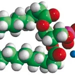 Merck 14:0 NBD PE