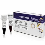 Thermo Fisher Scientific GeneRuler 1 kb DNA Ladder, ready-to-use, 5 x 50 ug, 500 applications