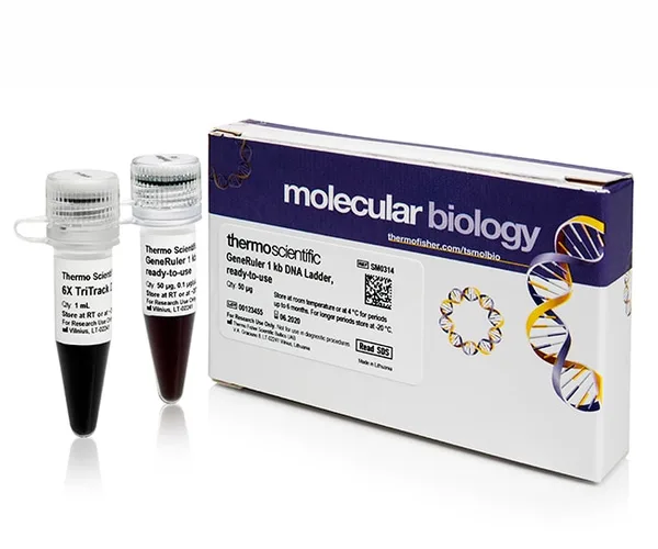 Thermo Fisher Scientific GeneRuler 1 kb DNA Ladder, ready-to-use, 5 x 50 ug, 500 applications