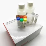 Thermo Fisher Scientific Click-iT Nascent RNA Capture Kit, for gene expression analysis