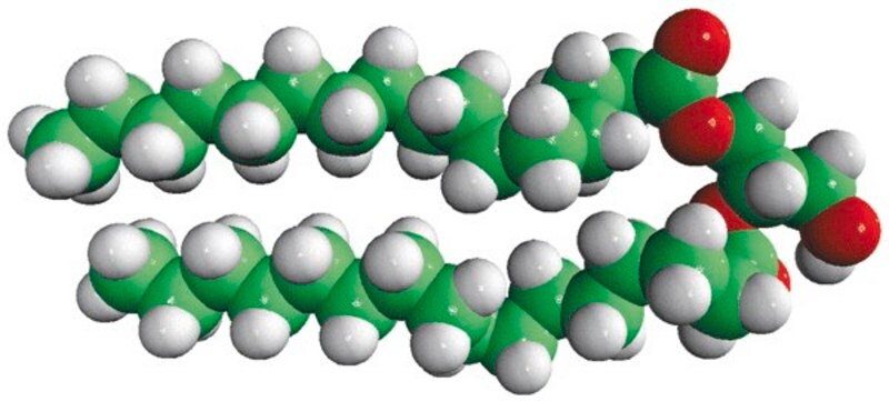 Merck 16:0 DG
