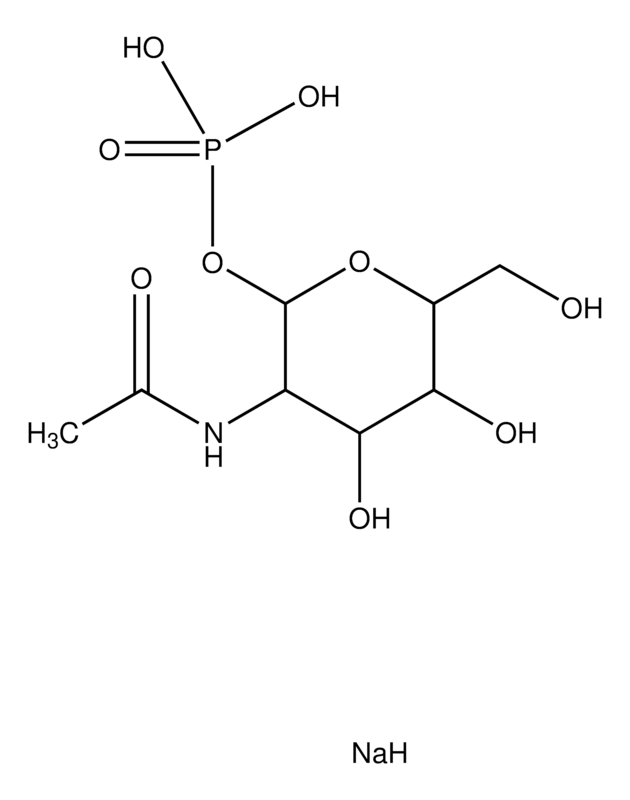 Merck N-Acetyl-alpha-D-glucosamine 1-phosphate disodium salt