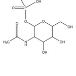 Merck N-Acetyl-alpha-D-glucosamine 1-phosphate disodium salt