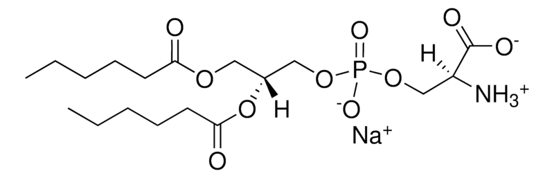 Merck 06:0 PS