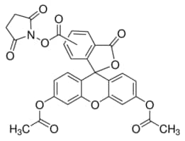 Merck 5(6)-CARBOXYFLUORESCEIN DIACETATE N-SUC&