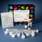 Thermo Fisher Scientific EZ-Link Sulfo-NHS-Biotinylation Kit
