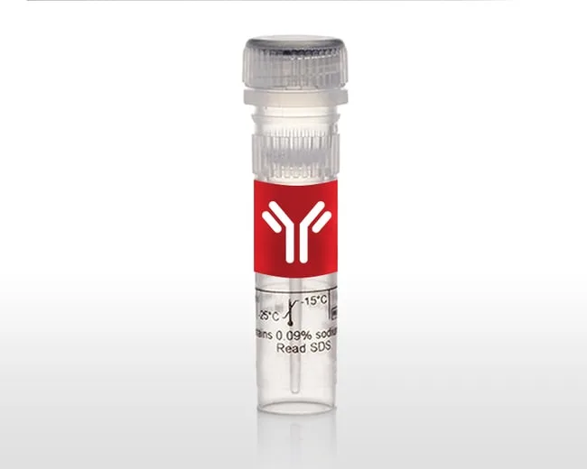Thermo Fisher Scientific BRD8 Polyclonal Antibody