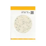 Microgiene Kikkoman EasyPlate(Filmedia) 황색포도상구균용 건조필름배지(SA)