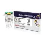 Thermo Fisher Scientific SspI (10 U/μL), 500 units