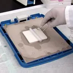 Thermo Fisher Scientific Western Blot Roller
