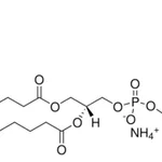 Merck Brain PI(4,5)P2