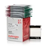 Thermo Fisher Scientific E-Gel Agarose Gels with SYBR Safe DNA Gel Stain, 1%, 10 Gels