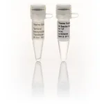 Thermo Fisher Scientific Terminal Deoxynucleotidyl Transferase (20 U/μL), 500 units