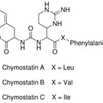Merck CHYMOSTATIN