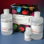 Thermo Fisher Scientific QuantaBlu Fluorogenic Peroxidase Substrate Kit