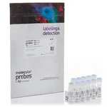 Thermo Fisher Scientific LIVE/DEAD Violet Viability/Vitality Kit, for 405 nm excitation
